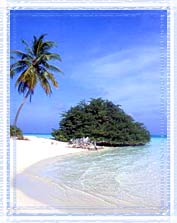 Malay Holiday Vacations
